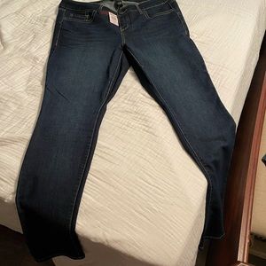 Torrid Skinny Jean